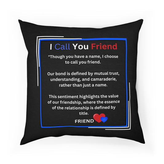 I Call You Friend - Pillow